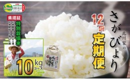 【ふるさと納税】【定期便】(12ヶ月連続お届け) 佐賀県認定 特別栽培米 さがびより （10kg×12回）　北川農産 