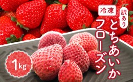 【ふるさと納税】とちあいかフローズン 1kg◇ 栃木 とちぎ いちご イチゴ 冷凍※着日指定不可