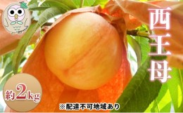 【ふるさと納税】[?5757-0338]桃 白桃 西王母 約2kg 5〜7玉 もも フルーツ 果物 岡山 美咲町産