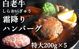 【ふるさと納税】道産和牛ハンバーグ（200g）5個入り 【 ふるさと納税 人気 おすすめ ランキング 北海道産 和牛 ハンバーグ 肉 牛肉 和牛