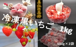 【ふるさと納税】シエルファーム 冷凍黒いちご 真紅の美鈴 1kg / 苺 いちご 希少品種