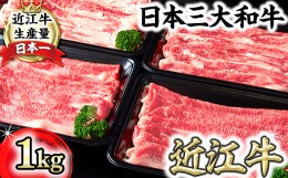 【ふるさと納税】近江牛 A4A5 切り落とし スライス 食べ比べ ブリスケ＆バラ 1kg【FO01SM】