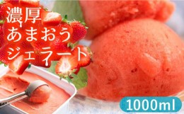 【ふるさと納税】福岡産 濃厚 あまおう ジェラート 1000ml《豊前市》【南国フルーツ株式会社】いちご アイス 福岡 お中元 ＜離島配送不可