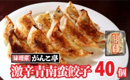 【ふるさと納税】激辛青南蛮餃子 40個 たれ付