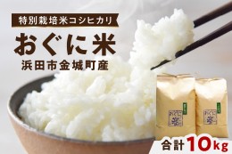 【ふるさと納税】【先行予約】【令和6年産】浜田市金城町産の美味しいコシヒカリ100％【おぐに米】10kg ＜9月下旬以降の発送予定＞10キロ