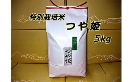 【ふるさと納税】【令和5年産】浜田市金城町産 農家直送特別栽培米 つや姫 ５kg 米 お米 特別栽培米 精米 白米 ごはん 新生活 応援 準備 