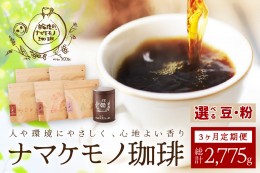 【ふるさと納税】スローな浜田で焙煎をした珈琲（９２５g×3回の定期便） 定期便 3回 コーヒー コース 定期便 ドリップ 自家焙煎 こだわ