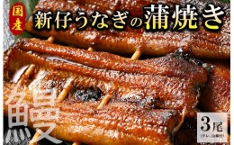 【ふるさと納税】国産新仔うなぎの蒲焼き3尾（タレ、山椒付）うなぎ 鰻 ウナギ 土用 丑の日 冷凍 グルメ 真空パック※着日指定不可◇