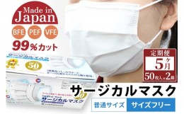 【ふるさと納税】《定期便5ヶ月》国内製造 高性能サージカルマスク 普通サイズ 50枚入り×2箱 (合計100枚)×5回 5か月 5ヵ月 5カ月 5ケ月