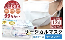 【ふるさと納税】《定期便12ヶ月》国内製造 高性能サージカルマスク 普通サイズ 50枚入り×60箱 (合計3,000枚)×12回 12か月 12ヵ月 12カ