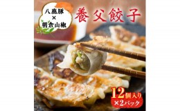 【ふるさと納税】八鹿豚味わう養父餃子(要冷凍/12個入り)×2パック【1418071】