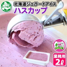 【ふるさと納税】607.アイスクリーム ハスカップ ジェラート 業務用 2リットル 2L アイス 手作り 北海道 弟子屈町