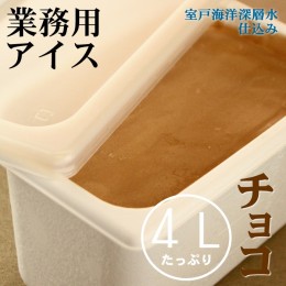 【ふるさと納税】チョコ４L 業務用アイス