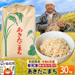 【ふるさと納税】先行予約※10月中旬頃〜発送【玄米】令和6年産 新米 先行受付 秋田県産 あきたこまち 30kg 30キロ お米 仙北市