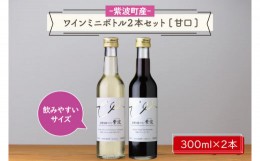 【ふるさと納税】AL057-1　ワインミニボトル２本セット[甘口]