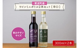 【ふるさと納税】AL056-1　ワインミニボトル２本セット[辛口]