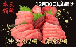 【ふるさと納税】B51-001【お正月用B】天然本鮪 中とろ2柵・赤身2柵（12月30日にお届け）
