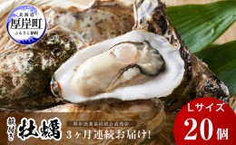 【ふるさと納税】定期便 3ヶ月 北海道 厚岸産 牡蠣 Lサイズ 20個 (各回20個×3ヶ月分,合計60個) 殻付き 生食 カキナイフ付き かき カキ