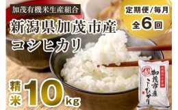 【ふるさと納税】【定期便6ヶ月毎月お届け】【2024年先行予約】【令和6年産新米】新潟県加茂市産コシヒカリ 精米10kg（5kg×2）白米 加茂