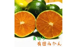 【ふるさと納税】【先行予約】ご家庭用 青切り有田みかん10kg 【2024年9月中旬より発送】【訳あり】【和歌山県産】