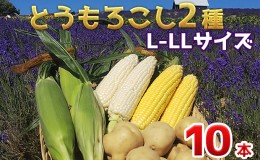 【ふるさと納税】【2024年発送】かんのファーム産 とうもろこし 食べ比べ 10本 セット(じゃがいも付) 北海道 上富良野町 とうもろこし ト