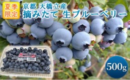 【ふるさと納税】【ふるさと納税】令和6年夏季予約販売 摘みたて 生ブルーベリー 500g 〈お届け：2024年6月上旬〜8月末まで 〉フルーツ 