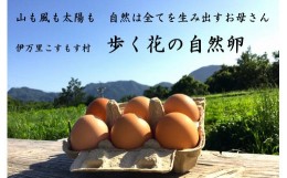 【ふるさと納税】伊万里こすもす村　歩く花　たまご　卵　６個入り×２箱 B529