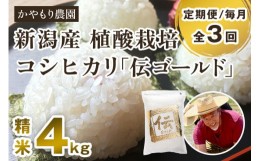 【ふるさと納税】【定期便3回毎月お届け】新潟産コシヒカリ「伝ゴールド」白米真空パック 精米4kg（2kg×2）南麻布の高級料亭で提供され