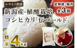 【ふるさと納税】【定期便3回隔月お届け】新潟産コシヒカリ「伝ゴールド」白米真空パック 精米4kg（2kg×2）南麻布の高級料亭で提供され