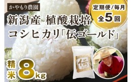 【ふるさと納税】【定期便5ヶ月毎月お届け】新潟産コシヒカリ「伝ゴールド」白米真空パック 精米8kg（2kg×4）南麻布の高級料亭で提供さ