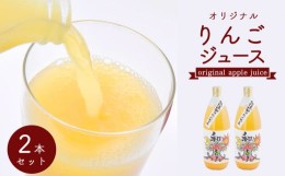 【ふるさと納税】オリジナルりんごジュース２本セット