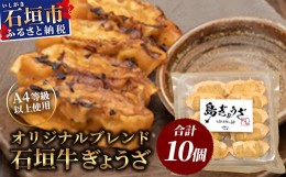 【ふるさと納税】≪餃子≫ 石垣牛 ぎょうざ 10個【 石垣牛 ぎょうざ 餃子 焼き餃子 水餃子 焼餃子  石垣牛 沖縄県 石垣市 】GS-1