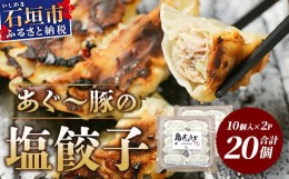 【ふるさと納税】≪餃子≫ あぐー豚 ぎょうざ 20個【 ブランド豚 アグー豚 ぎょうざ 餃子 焼き餃子 水餃子 焼餃子 沖縄県 石垣市 】GS-3