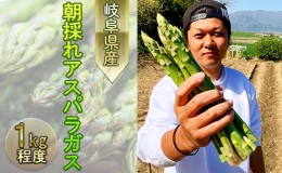 【ふるさと納税】朝採れアスパラ 産地直送で鮮度抜群