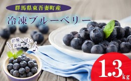 【ふるさと納税】【東吾妻産】冷凍ブルーベリー 約1.3kg