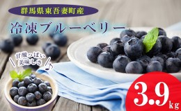 【ふるさと納税】【東吾妻産】冷凍ブルーベリー 約3.9kg