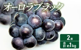 【ふるさと納税】2024年 先行予約 オーロラブラック 2房 合計約1kg 常温配送 ぶどう 葡萄 フルーツ 果物 岡山 