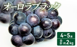 【ふるさと納税】2024年 先行予約 オーロラブラック 4〜5房 合計約2kg 常温配送 ぶどう 葡萄 フルーツ 果物 岡山 