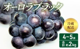 【ふるさと納税】2024年 先行予約 オーロラブラック 4〜5房 合計約2kg 冷蔵配送 ぶどう 葡萄 フルーツ 果物 岡山 