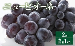 【ふるさと納税】 2024年 先行予約 ニューピオーネ 2房 合計約1kg 常温配送 ぶどう 葡萄 フルーツ 果物 岡山 