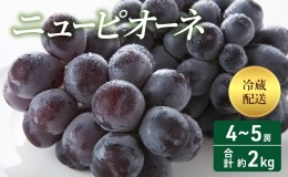 【ふるさと納税】2024年 先行予約 ニューピオーネ 4〜5房 合計約2kg 冷蔵配送 ぶどう 葡萄 フルーツ 果物 岡山 