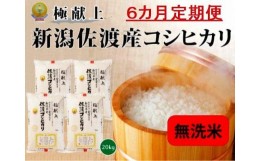 【ふるさと納税】無洗米20kg 新潟県佐渡産コシヒカリ20kg(5kg×4)×6回「6カ月定期便」