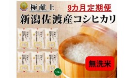 【ふるさと納税】無洗米30kg 新潟県佐渡産コシヒカリ30kg(5kg×6)×9回「9カ月定期便」