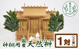 【ふるさと納税】神棚用国産榊 2束 お供え お祀り 国産 天然 新鮮 長持ち 天然榊 4000円