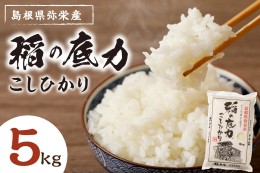 【ふるさと納税】【令和5年産】浜田産「稲の底力こしひかり」 5kg 米 お米 こしひかり 新生活 応援 準備 5キロ 1等米【969】