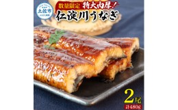 【ふるさと納税】【数量限定】仁淀川特大肉厚うなぎ2尾セット タレ付き うなぎ 鰻 ウナギ 蒲焼き かば焼き 1尾200g超え 仁淀川 国産 太化