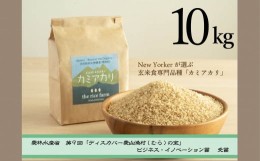 【ふるさと納税】【074-04】【幻の玄米】　自然栽培　カミアカリ　玄米　10kg
