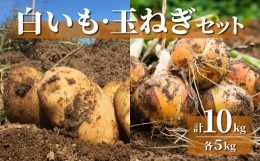 【ふるさと納税】【数量限定】白いも(M〜Lサイズ）と玉ねぎ（L〜2Lサイズ）各5？　詰め合わせ