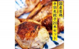 【ふるさと納税】餃子専門店が作った手羽先餃子20本入り