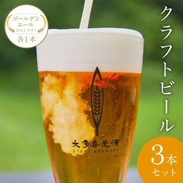 【ふるさと納税】W00801 クラフトビール３本セット ゴールデンエールIPAスタウト各１本